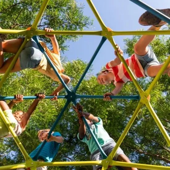 Lifetime Climbing Tower - 90994 image {4}