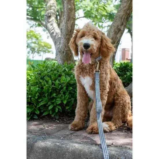 Country Brook Petz Martingale Collar and Leash - Sports and Athletics Collection image {2}