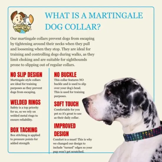 Country Brook Petz HossFit Jr Wide Martingale Dog Collar - Chevron and Arrows Collection image {5}