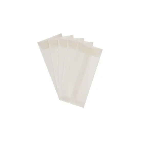 JAM Paper #10 Policy Business Translucent Vellum Envelopes 4.125 x 9.5 Clear 900828258I image {2}