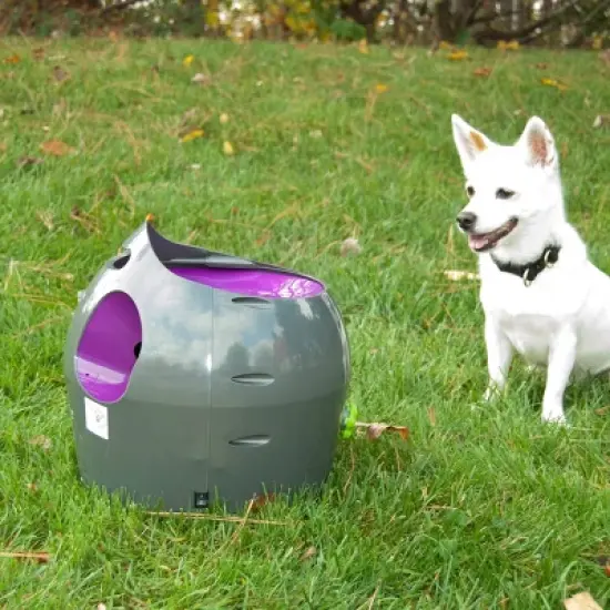PetSafe Automatic Ball Launcher - Gray image {7}