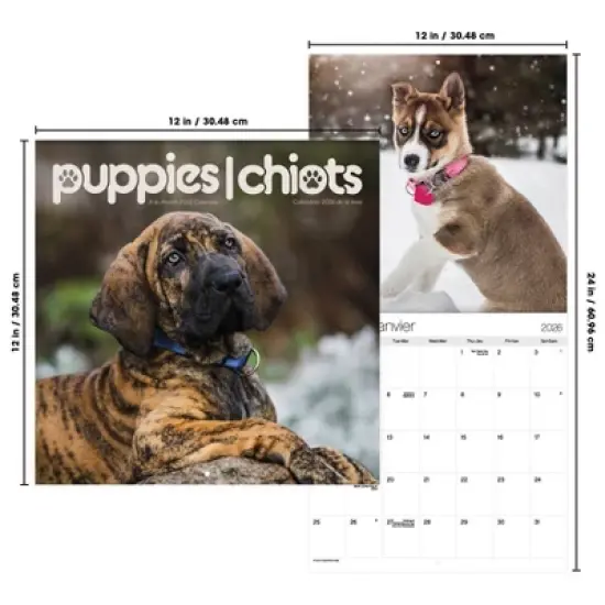 Trends International 2026 Puppies Bilingual French 12"x12" Wall Calendar image {6}