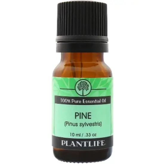 Plantlife Pine Essential Oil &ndash; 100% Pure & Therapeutic Grade &ndash; Natural, Undiluted & Steam-Distilled &ndash; No Additives or Fillers &ndash; 10ml Aromatherapy image {2}