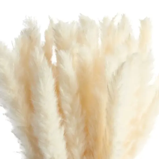 Juvale 30 Pack Dried White Pampas Grass for Vase, Wedding, Rustic-Style Farmhouse Decor, Boho-Themed Home Decor, 17 In image {4}