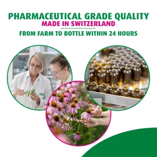 A. Vogel Echinaforce Echinacea Tablets &ndash; Fresh Organic Formula &ndash; 3X Stronger Herbal Supplement &ndash; Daily Immune Support &ndash; Non-GMO image {6}