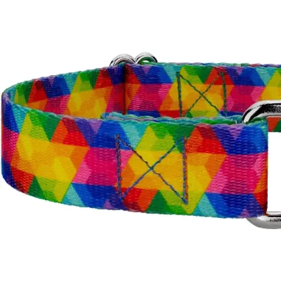Country Brook Petz Kaleidoscope Martingale Dog Collar image {3}