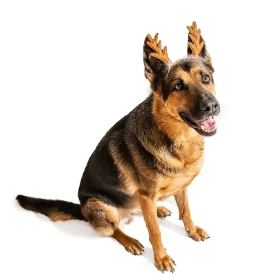 Midlee Furry Antlers Dog Headband image {1}