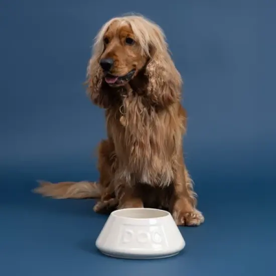 Mason Cash: Non-Tip Dog Bowl, Grey, 8.3", 54oz, Food & Water Angled Dish image {6}