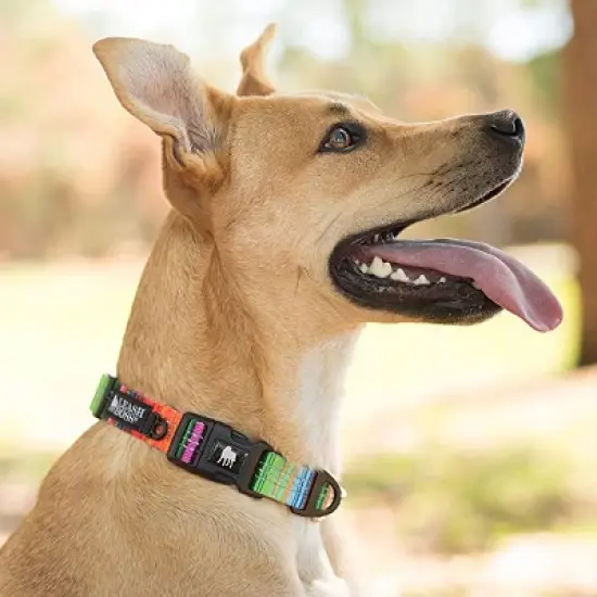 Leashboss Patterned Reflective Dog Collar image {2}