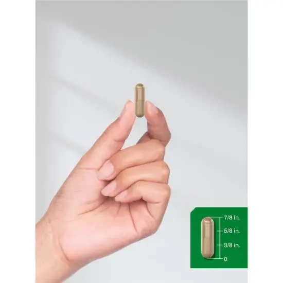 Horbaach Ceylon Cinnamon 4000mg | 250 Capsules image {7}