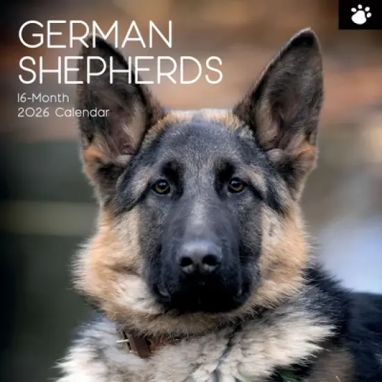 2026 Square Wall Calendar, German Shepherds, 16-Month Paw Prints Theme with 180 Reminder Stickers (12x12 In) image {4}
