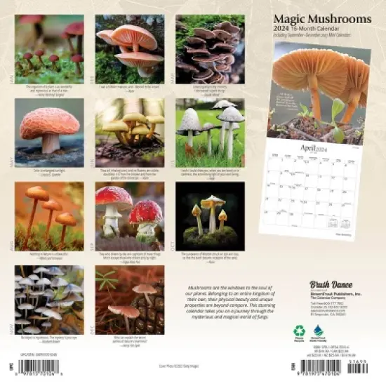 Brush Dance 2024 Wall Calendar 12"x12" Magic Mushrooms image {1}