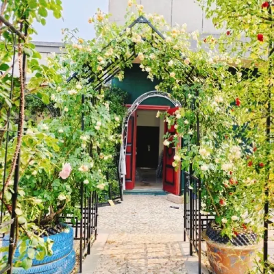 Dolonm Metal Garden Arch with Gate Climbing Plants Support Rose Arch Outdoor Black image {10}