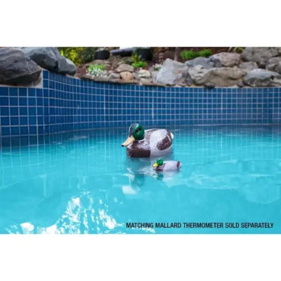 Poolmaster Mallard Duck Floating Swimming Pool and Spa Thermometer image {9}