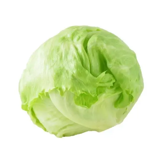 Fresh Organic Iceberg Lettuce - each image {4}