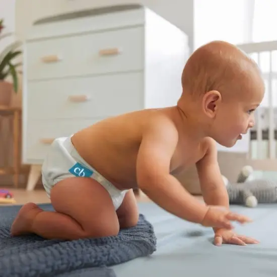 Charlie Banana One Size Reusable Cloth Diaper image {4}