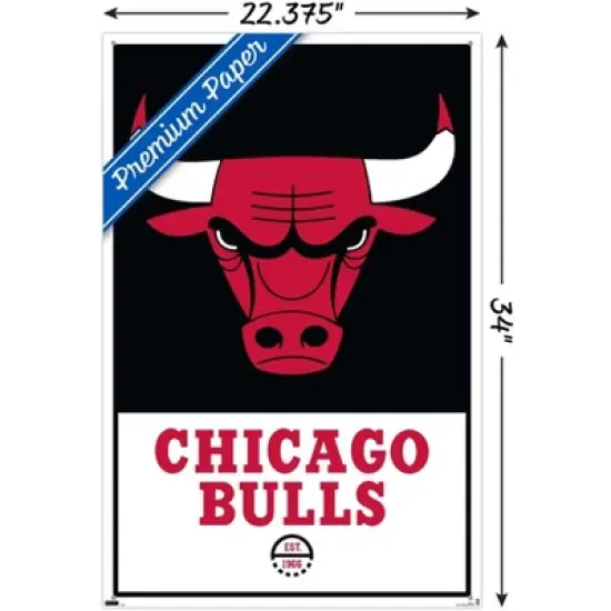 Trends International NBA Chicago Bulls - Logo 21 Unframed Wall Poster Prints image {2}