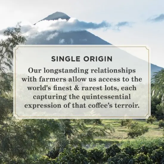 Peet's Sumatra Single Origin Dark Roast Ground Coffee 10.5oz image {3}