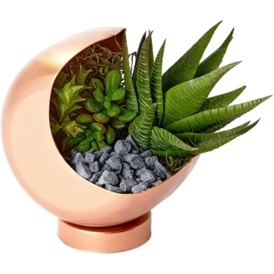 Farmlyn Creek Decorative Rocks for Planters, Vase, Aquarium, and Terrariums, Black, 2lbs image {7}