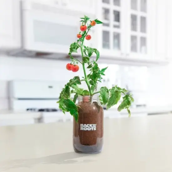 Back to the Roots Organic Tomato Grow Kit image {1}