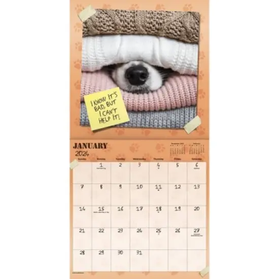 Trends International Inc. 2023-24 Wall Calendar 12"x12" Guilty Dog image {1}
