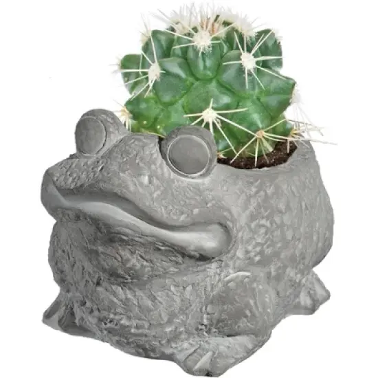 Classic Home and Garden Cement Buddies Indoor/Outdoor Planter with Drainage Hole, Frog image {2}