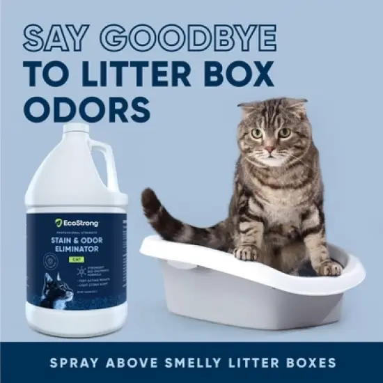 Cat Stain and Odor Eliminator image {5}