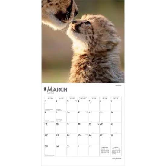 BrownTrout Baby Animals 2026 12"x24" Hanging Square Wall Calendar Plastic-Free image {2}