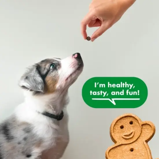 Buddy Biscuits Training Bites Chicken Dry Dog Treats - 10oz image {3}