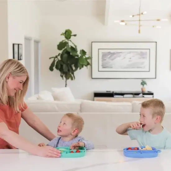 morepeas Everything Plate - Blueberry image {4}